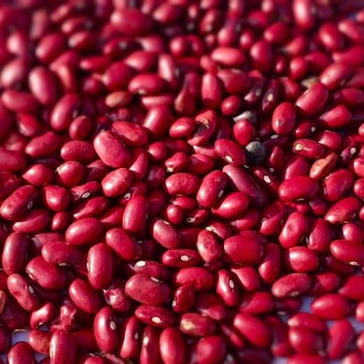 Rajma (Kidney Beans)